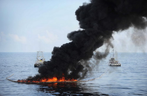 Various efforts to deal with oil disaster
