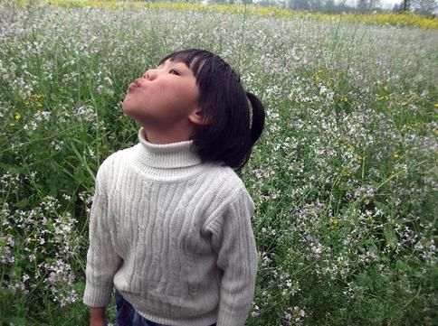 Orphan photographers' lens on Wenchuan
