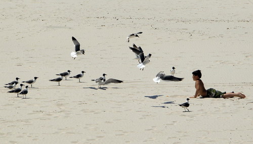 Gulf of Mexico oil clean-up continues