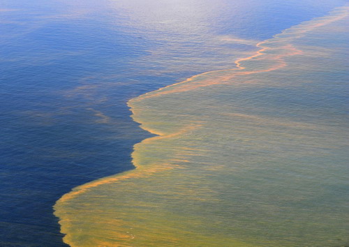 Gulf of Mexico oil clean-up continues