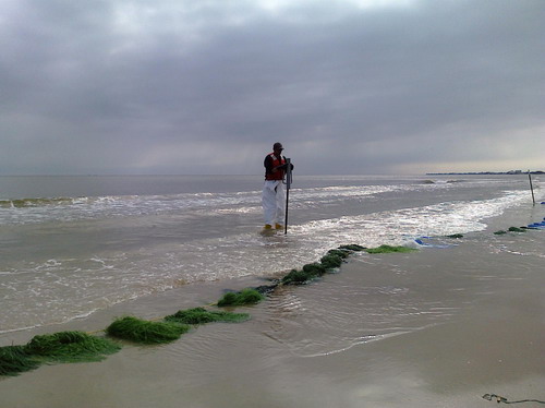 Gulf of Mexico oil clean-up continues