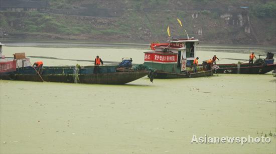 Duckweeds block a Yangtze River tributary