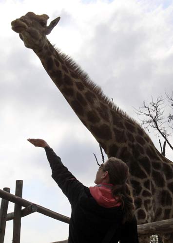 South Africa Lions Park attract soccer fans