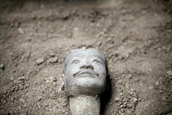 120 terracotta warriors unearthed at museum pit