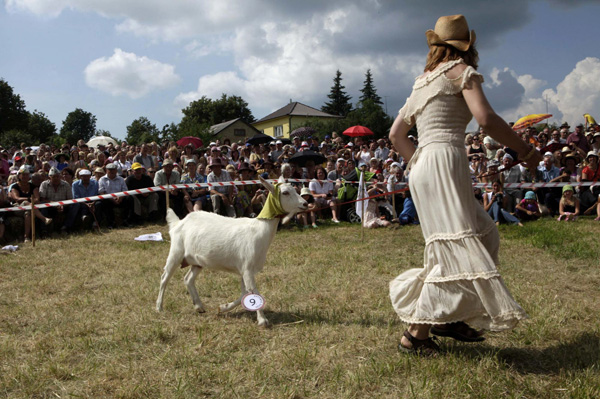 Goat 'beauty contest' in Lithuania