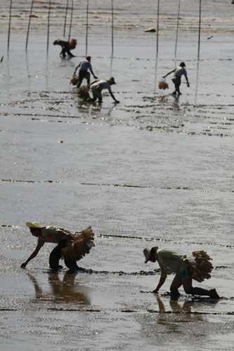 Anglers show off mudfishing skills in Guangdong