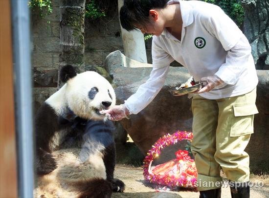 Giant panda celebrates 30