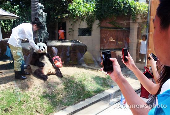 Giant panda celebrates 30