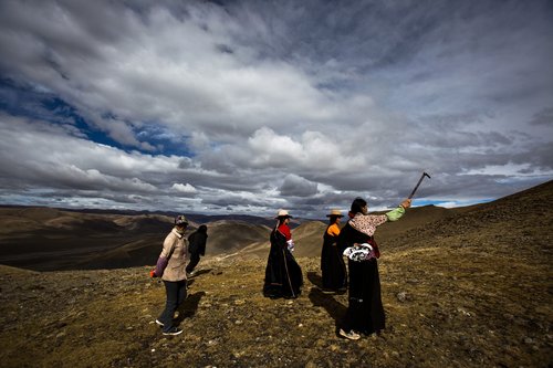 Tibetans searching for medicinal fungus