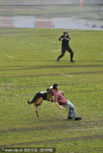 SWAT team conducts anti-terrorism drills