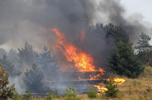 Wildfire burns in Russia, killing at least 40