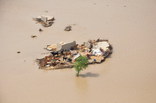 Marooned family mergered in floods in Pakistan