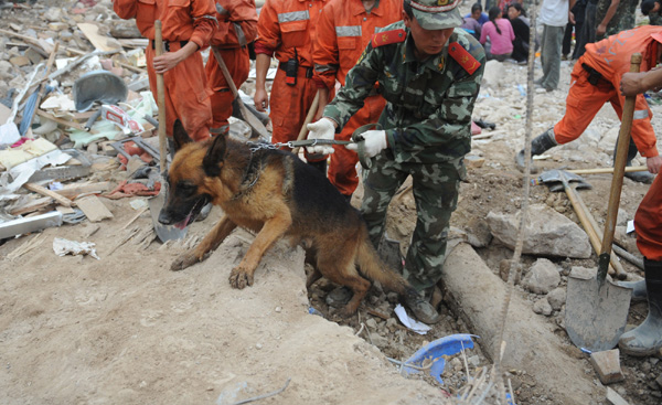 Hoping for a miracle amid the rubble