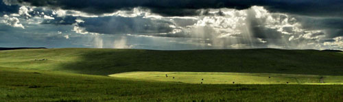 Beautiful scenes from Hulunbuir grassland