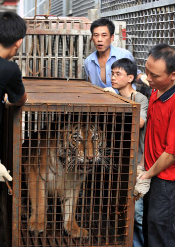 Zoo animals moving to new home