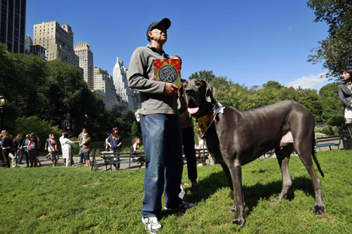 Guinness record's smallest and tallest living dog