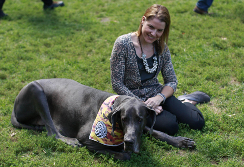 Guinness record's smallest and tallest living dog