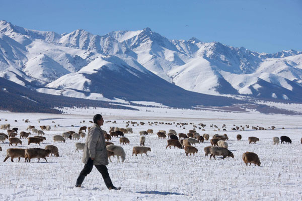 Winter beckons as early snow covers Tianshan