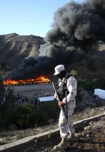 134 tons of marijuana burnt in Mexico