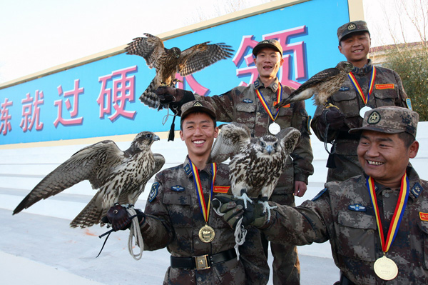 Falcons in bird-repelling competition