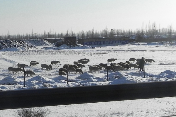 Snow blankets parts of China