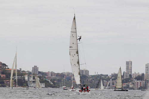 Yacht race in Sydney Harbour