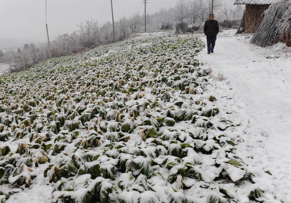 Cold snap sweeps China, traffic at a standstill