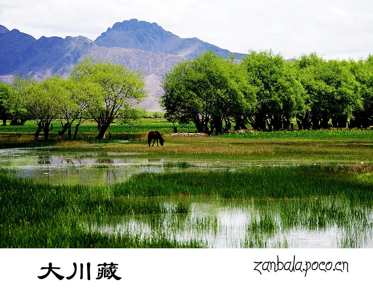 Jambhala: Tibet Buddhism influences photography