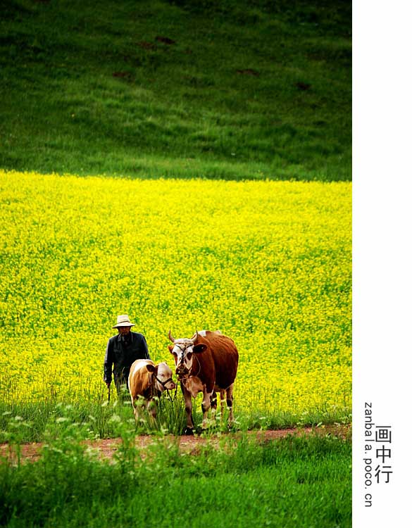 Jambhala: Tibet Buddhism influences photography (Part II)