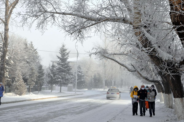 Temperature in N China city drops to -43 C