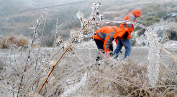 Electricians power up for Spring Festival