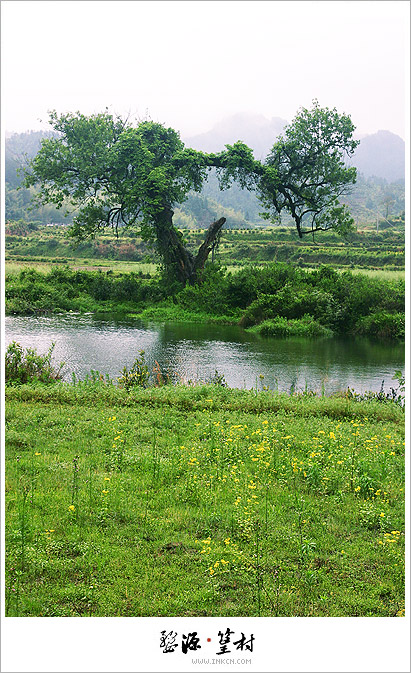 Wuyuan, East China's Jiangxi province