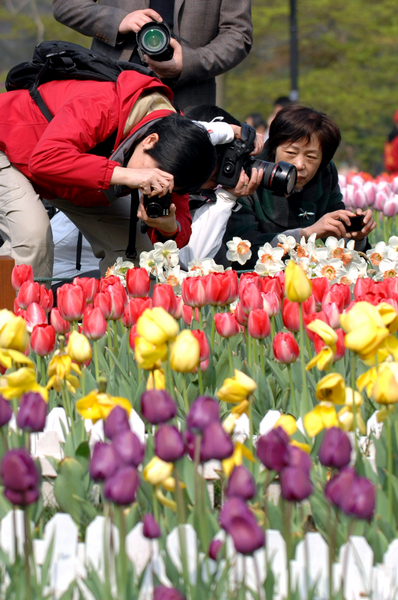 Spring outing in holidays