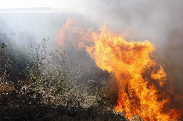 Forest fire ravages Santiago city