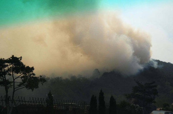 Forest fire put out in NE China