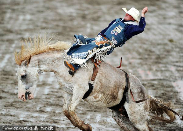 Moment of Bareback bronc competition