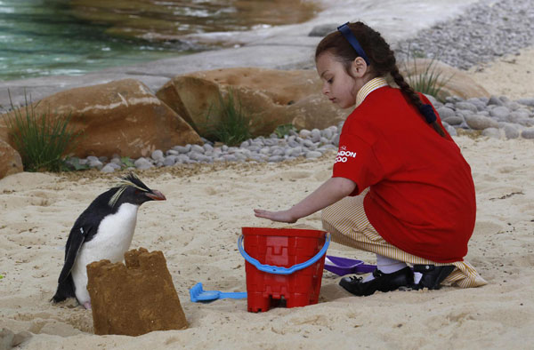 Penguin pool of London Zoo opens