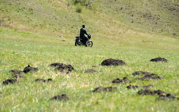 Inner Mongolian grassland gnawed by rodents