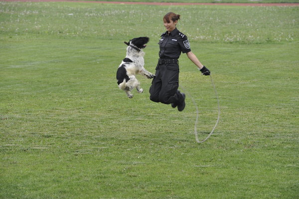 Police dogs show off their skills