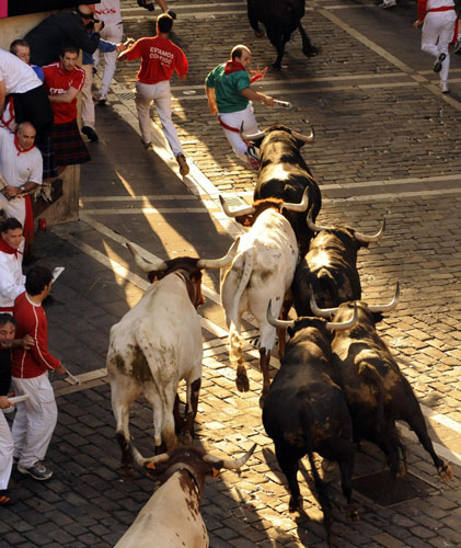 Bulls run at San Fermin festival