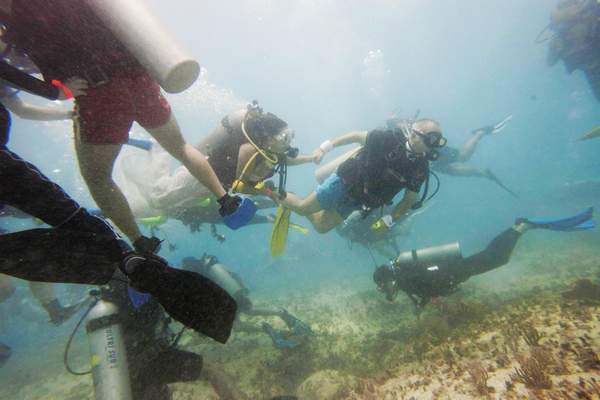 Couple attempts underwater wedding Guinness record