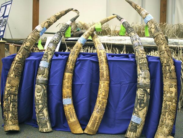 Smuggled ivory artifacts seized in US