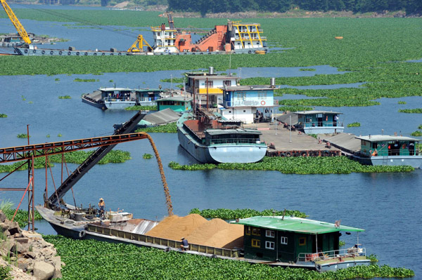 River users battle invasive water hyacinth