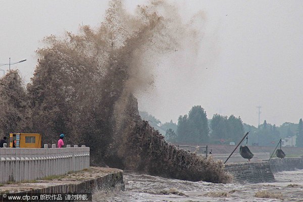 River's surging high tide wave draws crowds