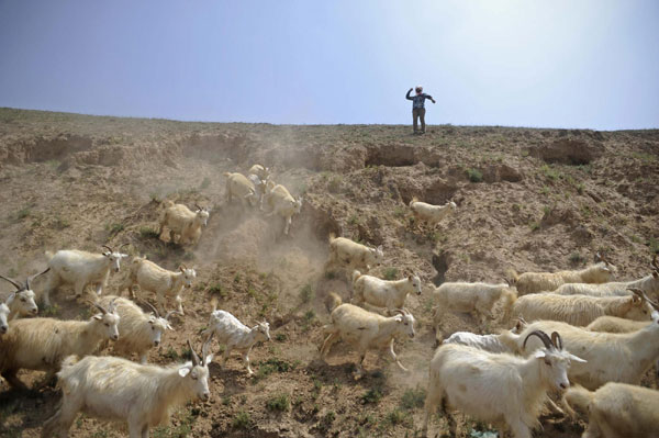 Breaking poverty in China's villages