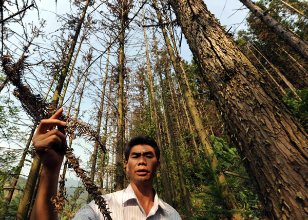 SW China city hit by severe drought