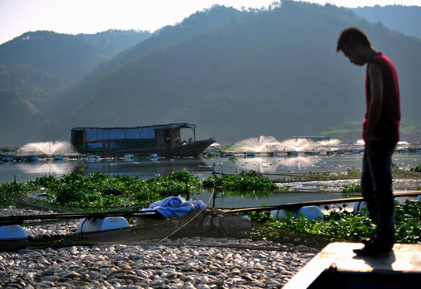 Mass fish death in E China county, cause unknown