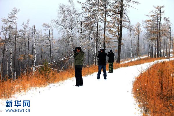 Cold front hits N China with snow