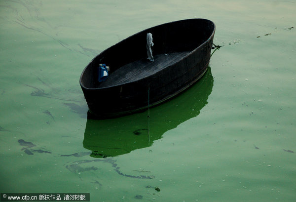 Blue-green algae threatens Chaohu Lake