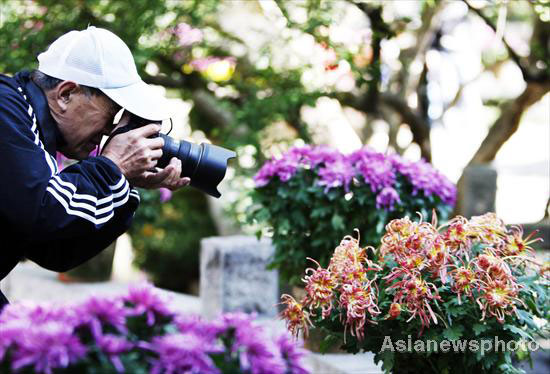 Autumn photos: Time for photographer